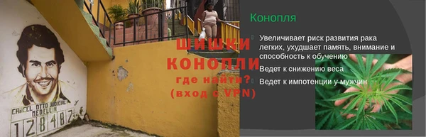 дмт Богородицк